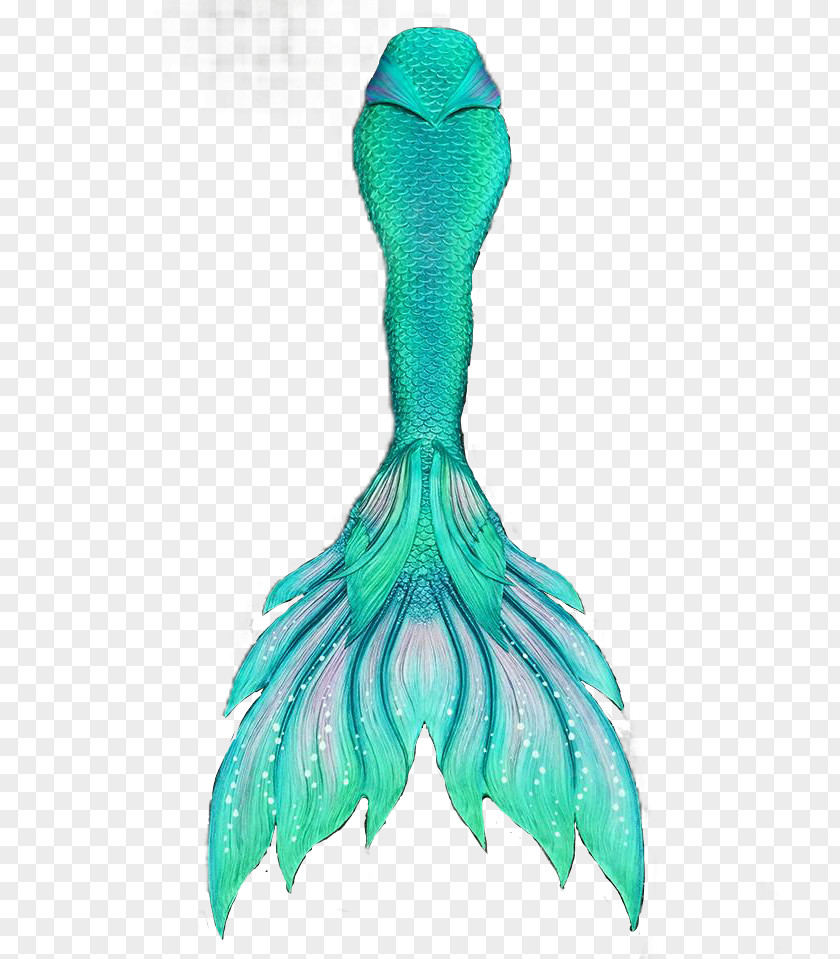 Mermaid Tail Merman Finfolk Legend PNG