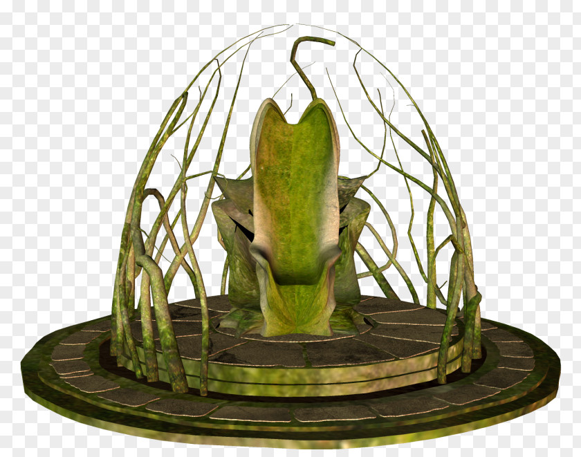 Plant PNG