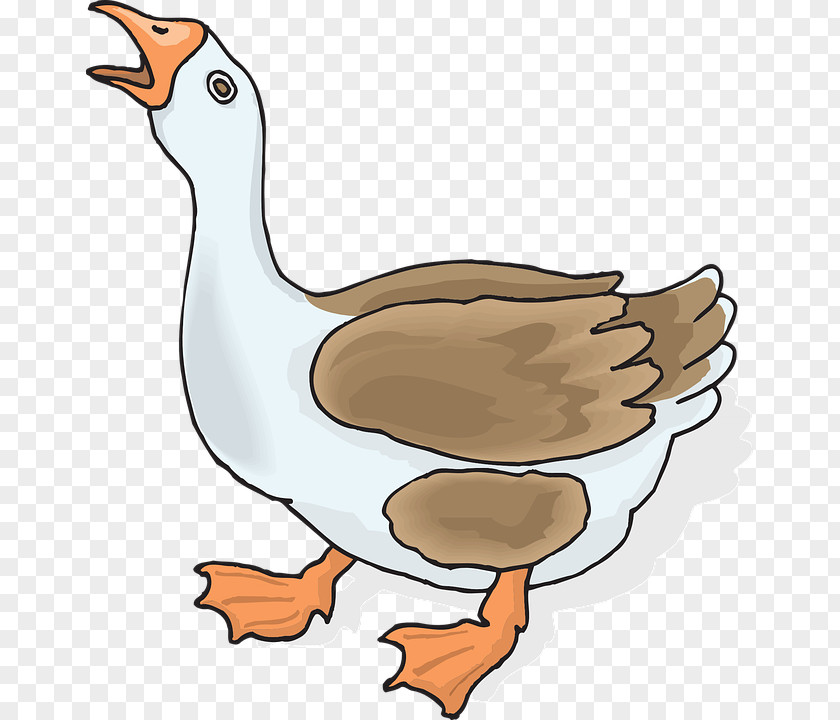 Goose Art Bird PNG