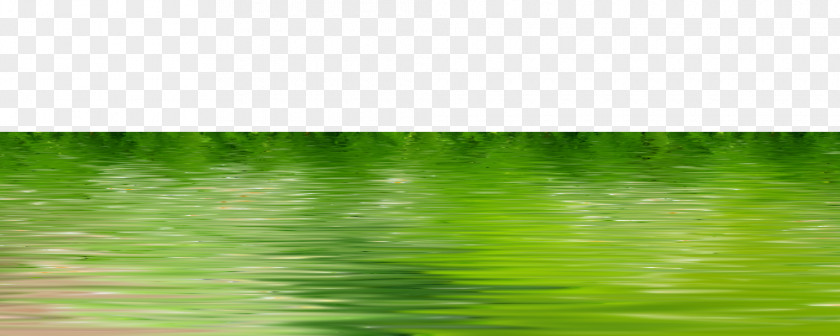 Lake Water Resources Picture Frame Green Pattern PNG