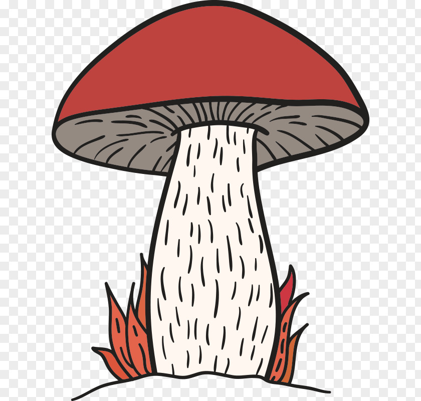 Mushroom,fungus Mushroom Fungus Clip Art PNG