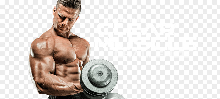 Natural Bodybuilding Tips Desktop Wallpaper Image Exercise PNG