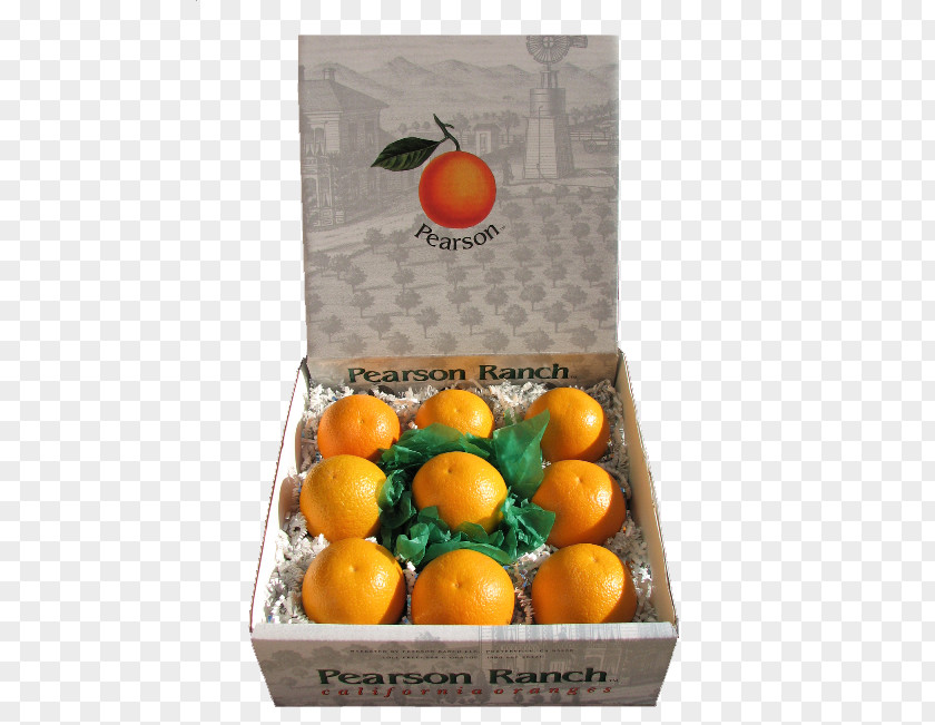 Orange Clementine Valencia Tangerine Mandarin PNG