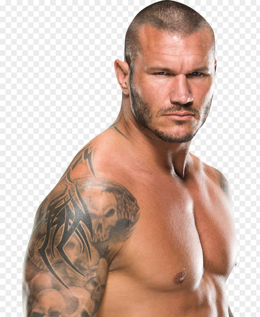 Randy Orton WWE Championship Raw Valentines Day PNG Day, clipart PNG