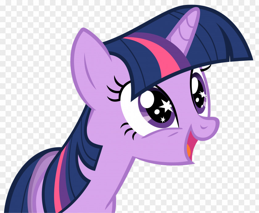 Twilight Sparkle YouTube Rarity Pony The Saga PNG