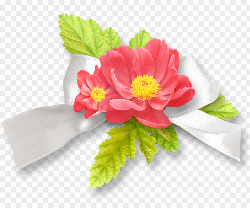 Blumen Flower Clip Art PNG