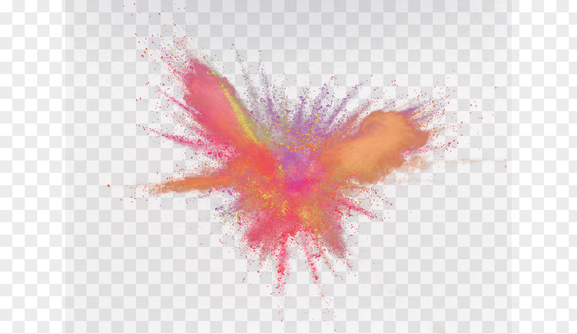 Color Powder Explosion Pink Petal Pattern PNG