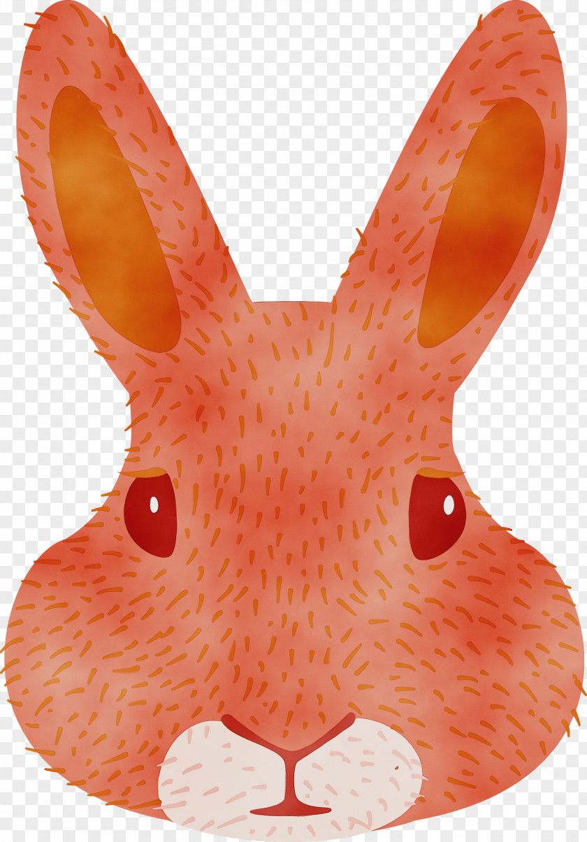 Easter Bunny PNG