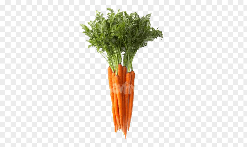 Vegetable Fruit Carrot Food Bento PNG