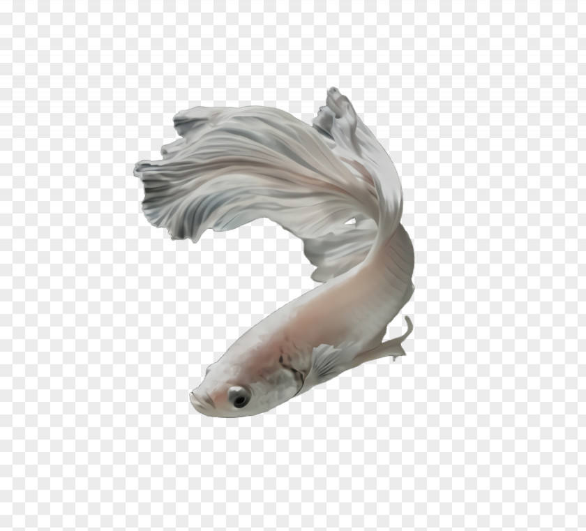 Animal Figure Tail Fish Koi PNG