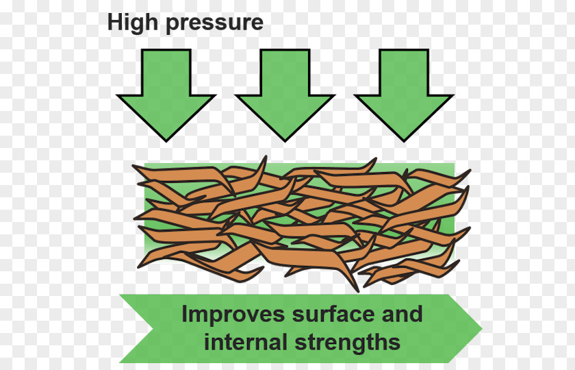 High Pressure Cordon Paper Starch Leaf Grasses Dietary Fiber PNG
