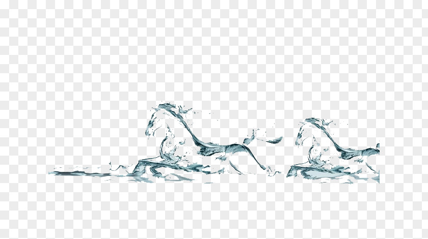 Two Horses Run Water Horse Brush PNG