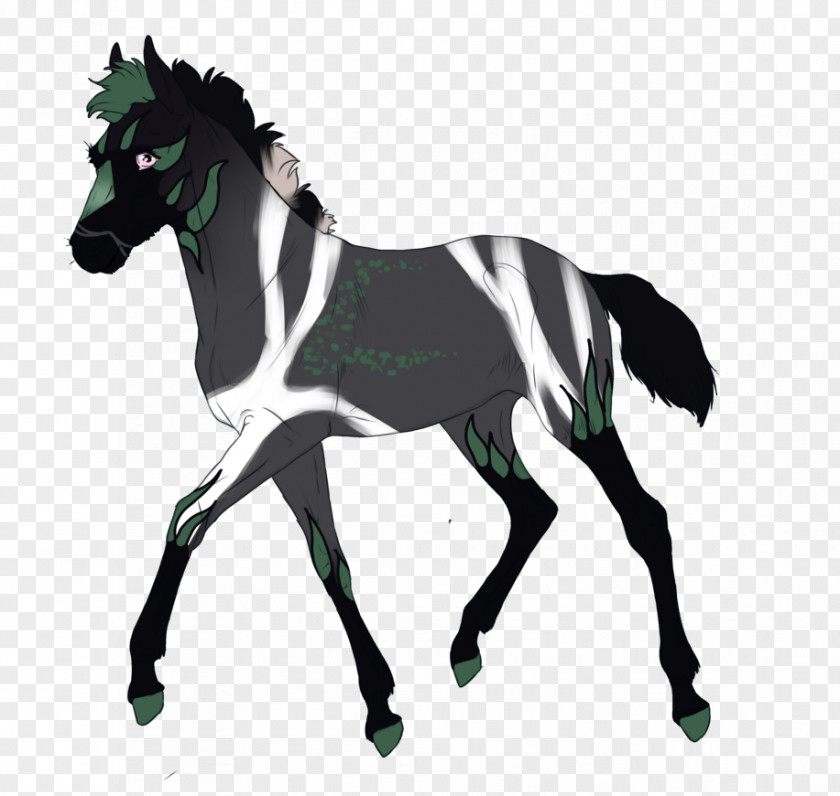 Zigzag Stripes Stallion Mustang Foal Mare Pony PNG