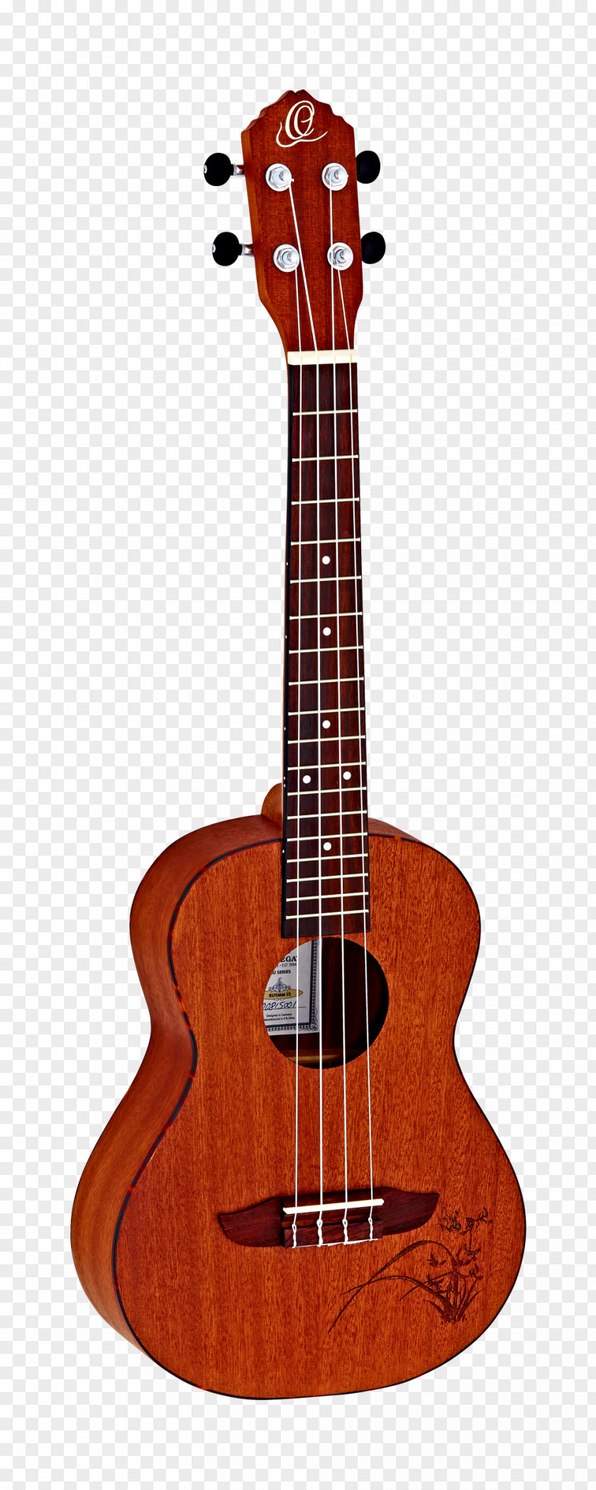 Amancio Ortega Ukulele Guitar String Instruments Musical PNG