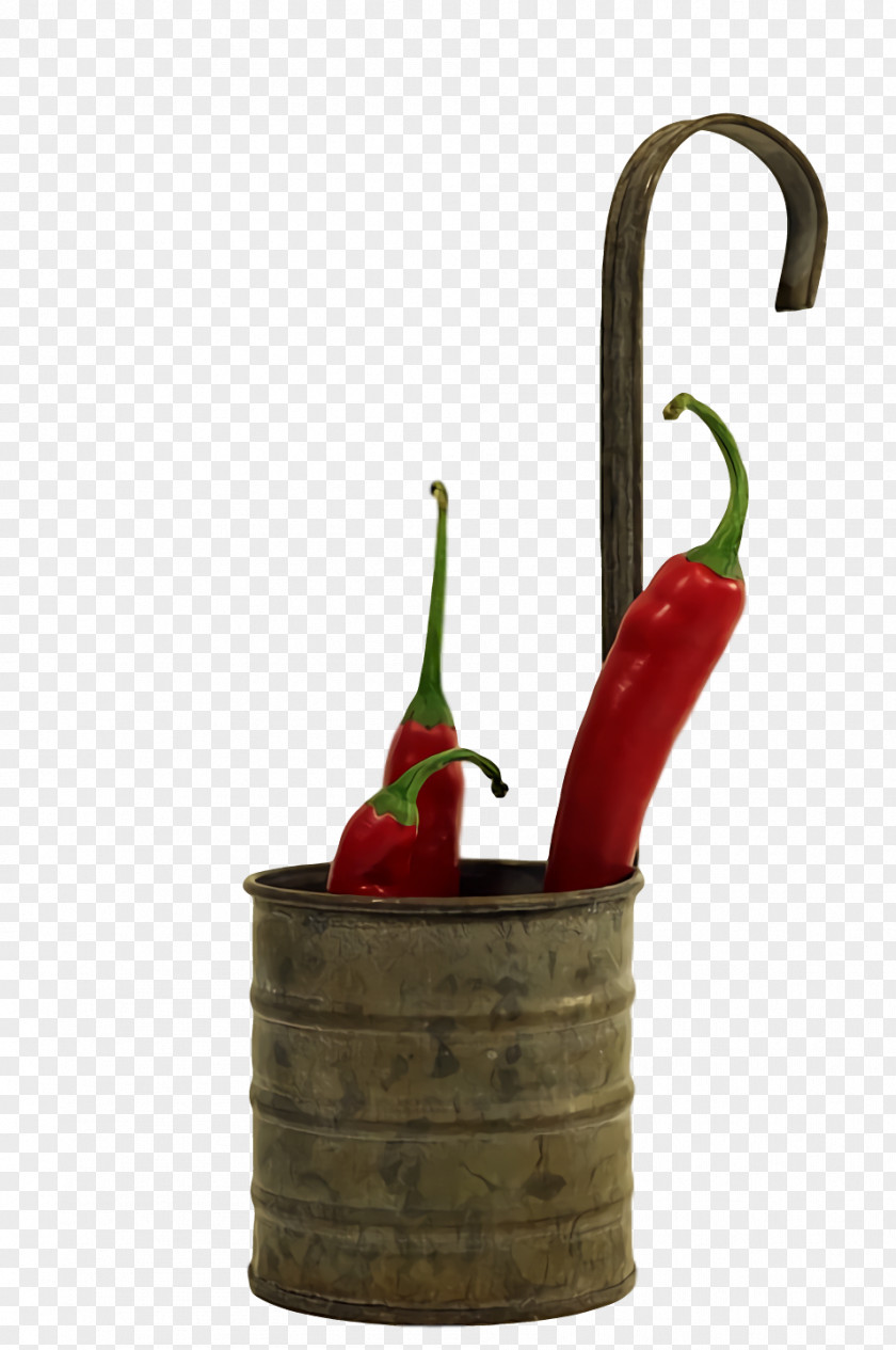 Chili Pepper Flowerpot PNG