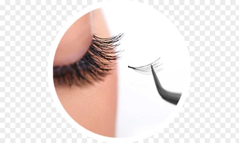 Hair Eyelash Extensions Beauty Artificial Integrations Fashion PNG