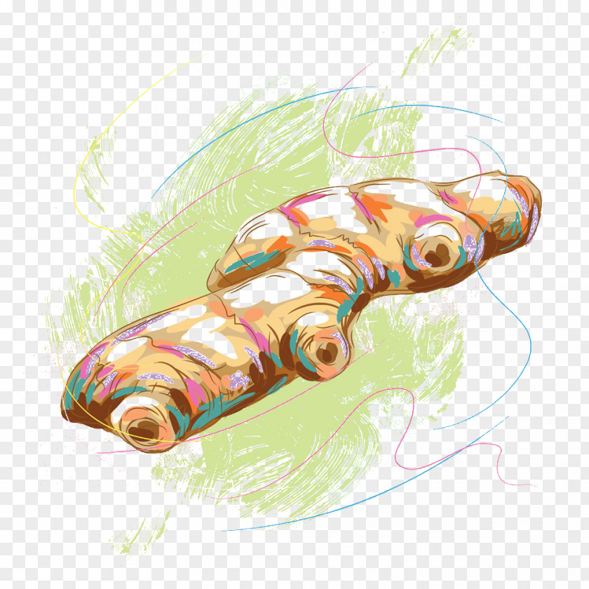 Hand-painted Ginger Spice Illustration PNG