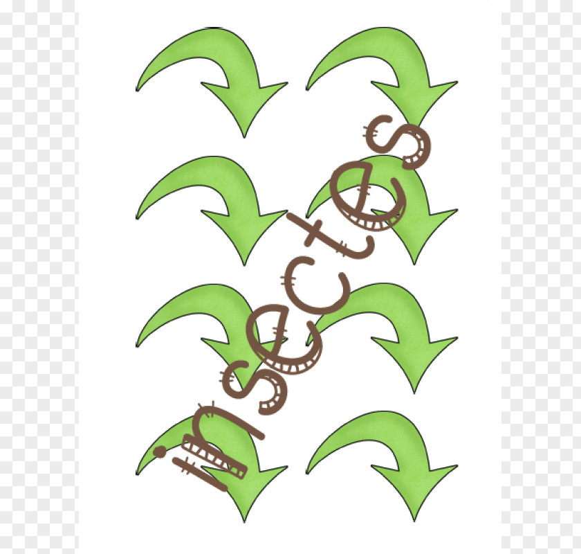 Leaf Cartoon Plant Stem Clip Art PNG