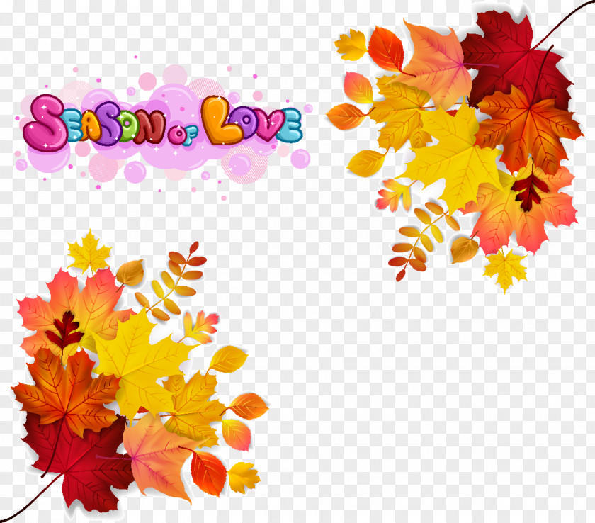 Maple Autumn Leaves Leaf Color Euclidean Vector Stock Photography PNG