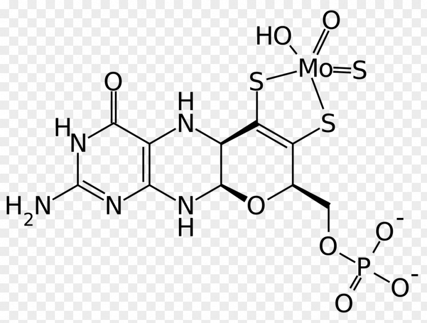 Xo Tyrosine Hydroxylase Chemistry Organic Compound Chemical PNG