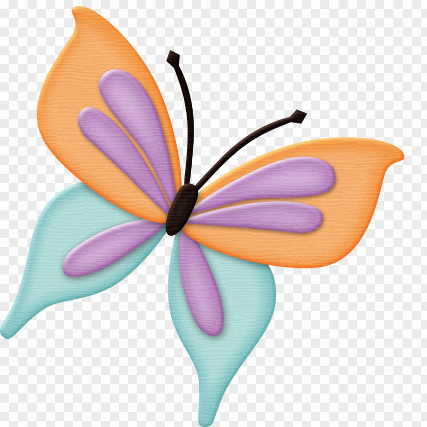 Butterfly Clip Art Image Insect PNG