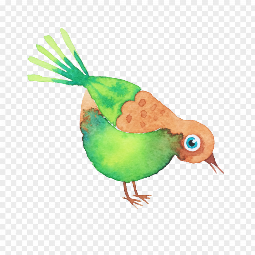Cartoon Bird Watercolor Painting Drawing PNG
