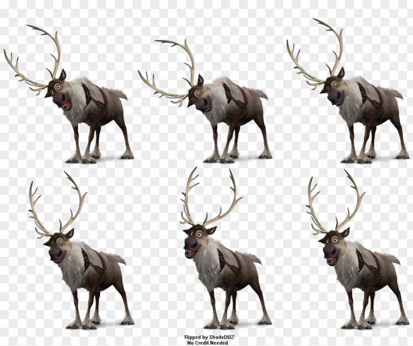 Reindeer Elk White-tailed Deer Moose Antler Frozen Film Series PNG