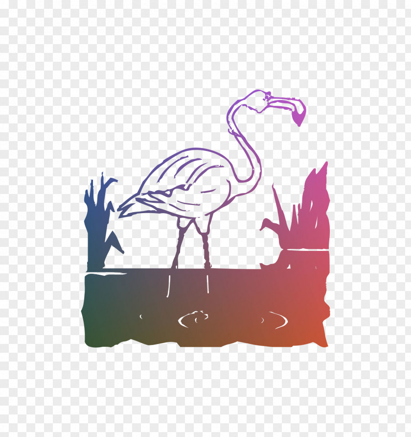 Illustration Bird Graphics Pink M Beak PNG