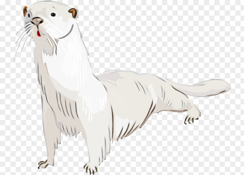 Mustelinae Stoat Dog And Cat PNG