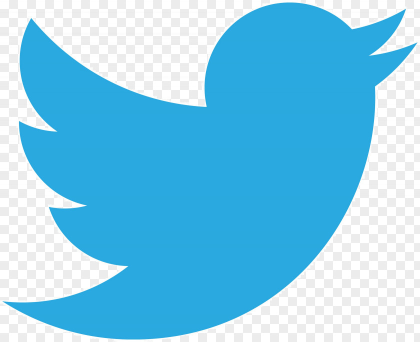 Twitter Bird Social Media Marketing Logo Department Of Earth System Science PNG