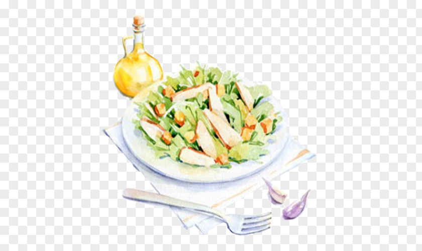 Vegetable Salad Breakfast Watercolor Painting Food Behance Illustration PNG