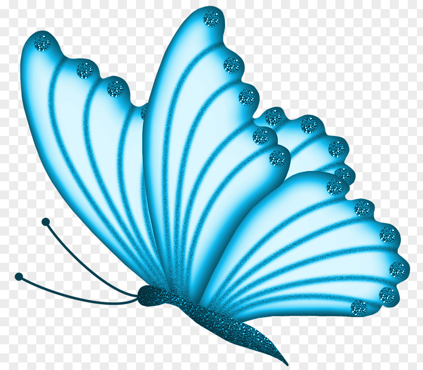 Blue Butterfly Pink Clip Art PNG