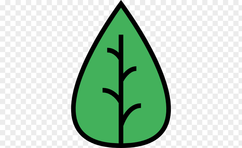Leaf Icon PNG