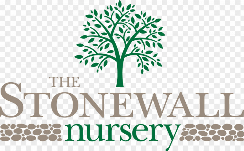 The Stonewall Nursery Logo Tree PNG