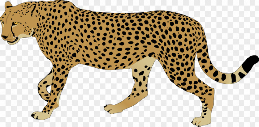 Cheetah Cliparts Leopard Clip Art PNG