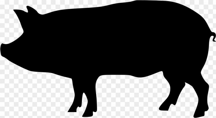 Pig Domestic Silhouette Clip Art PNG