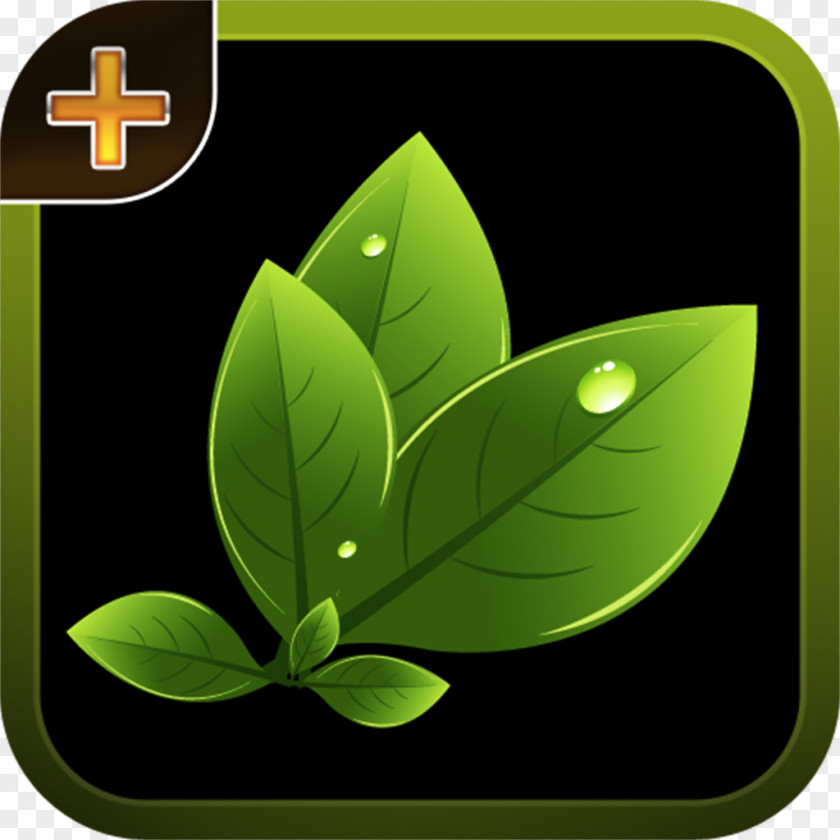 Plant Identification Windows Phone Mobile Phones Android PNG
