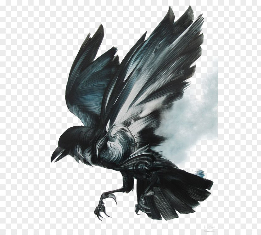 Black Birds PNG