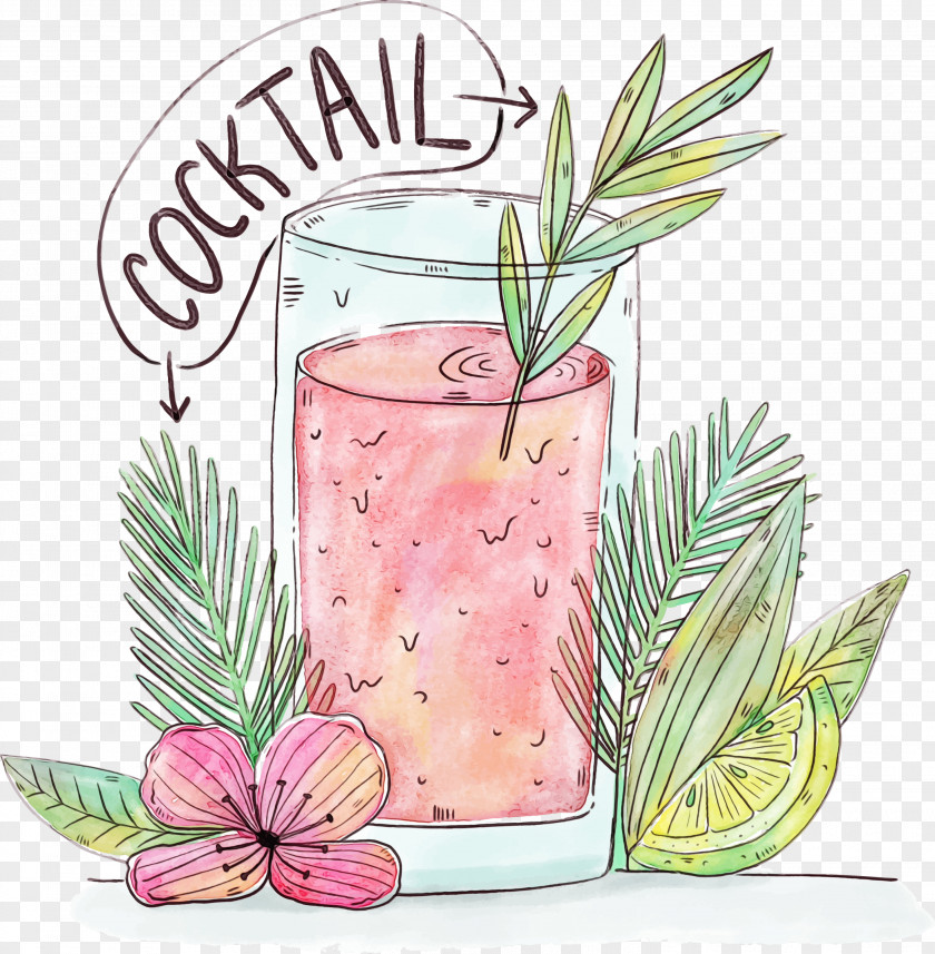 Food Nonalcoholic Beverage Drink Plant Cocktail Garnish Highball Glass Clip Art PNG