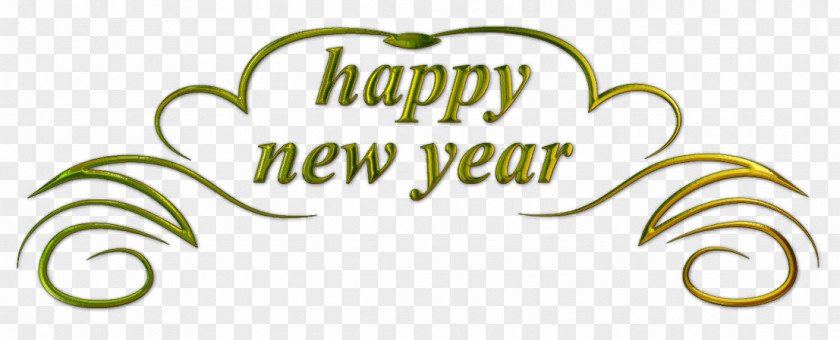 Happy New Year Years Day Resolution Clip Art PNG