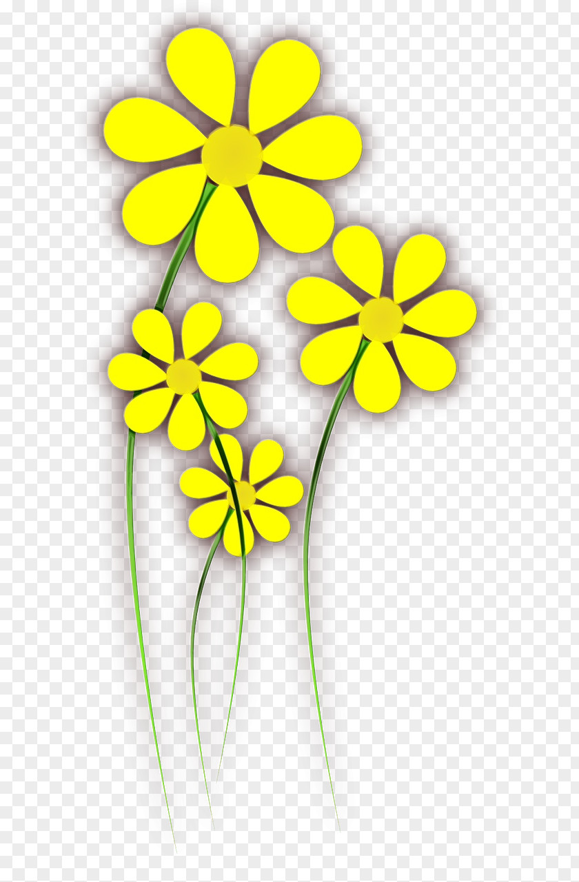 Plant Stem Pedicel Flowers Background PNG