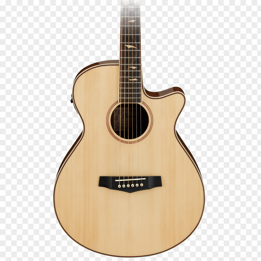 Acoustic Guitar Classical Ibanez Acoustic-electric PNG
