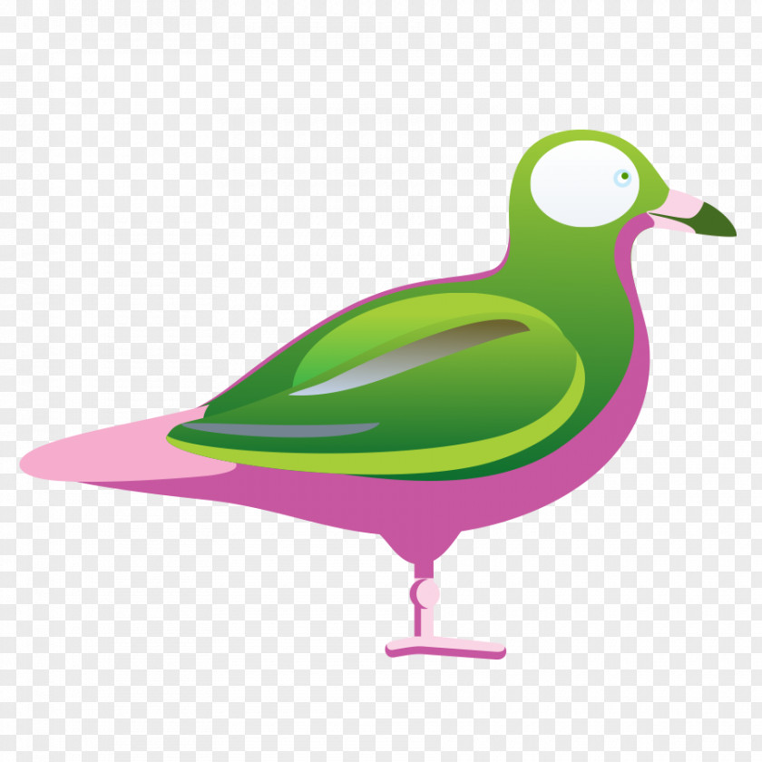 Aves Vector Duck Bird Design Clip Art PNG