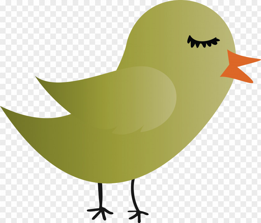 Bird Cartoon Beak Chicken PNG