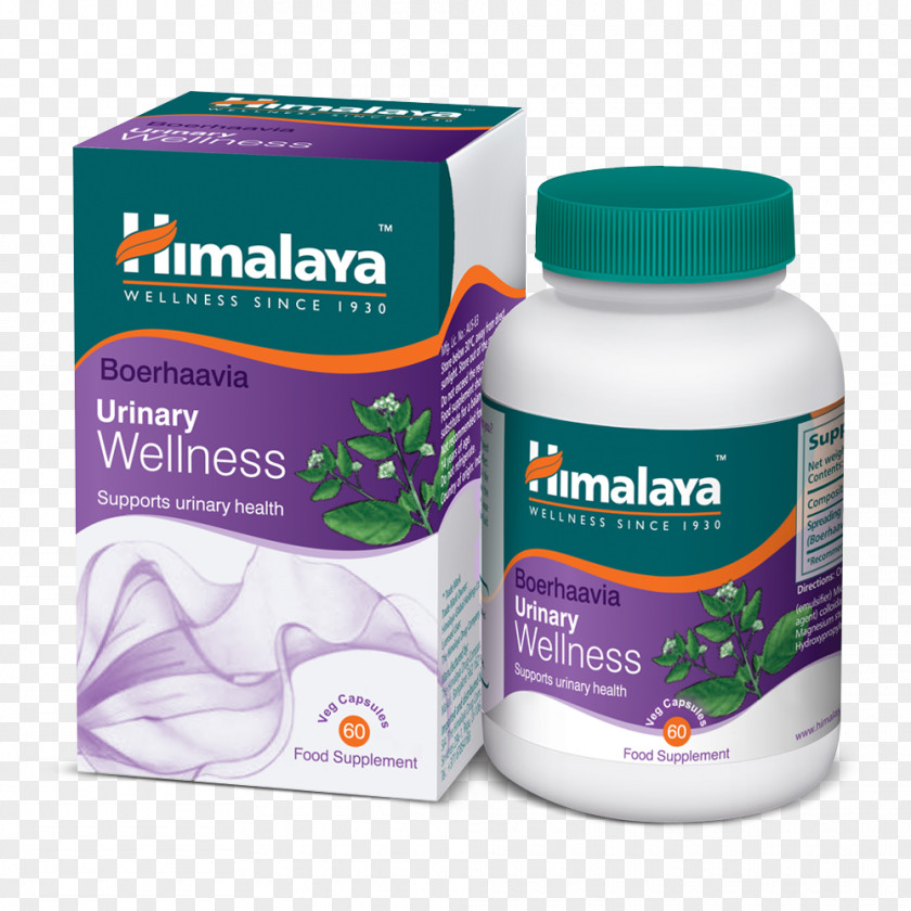 Health Dietary Supplement The Himalaya Drug Company Rennet Bindii PNG