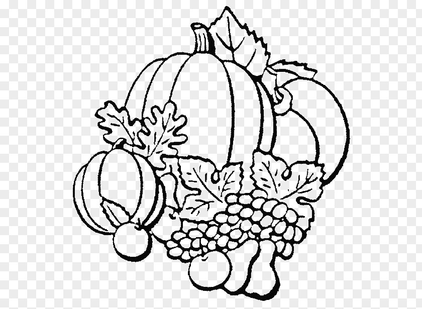 Seasonal Vegetables Coloring Book Fruit Autumn Vegetable Bean PNG