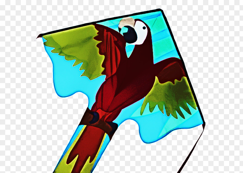 Wing Bird Parrot PNG