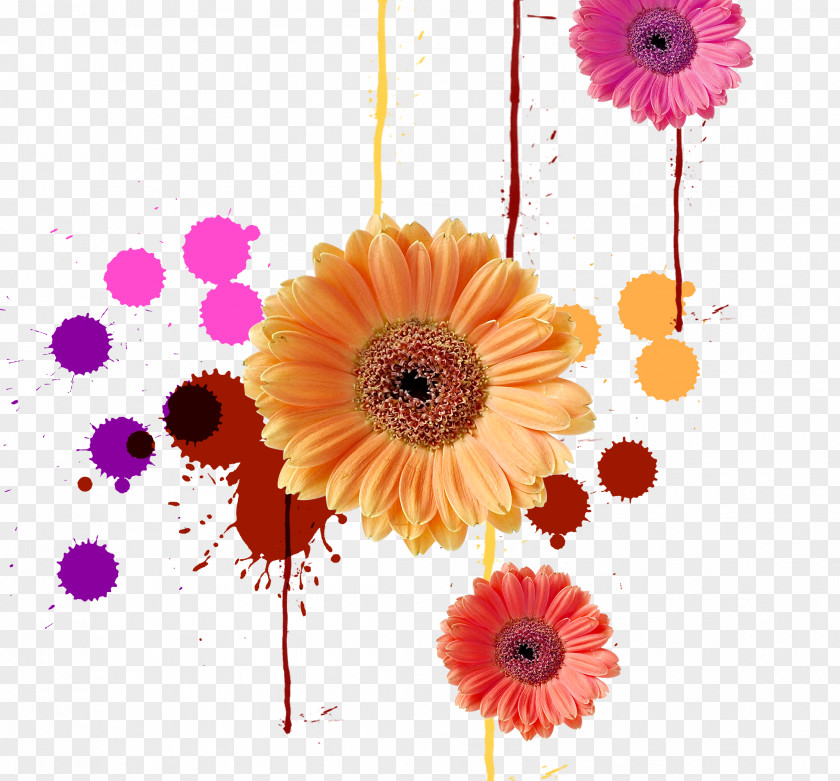 Colorful Splash Ink Chrysanthemum Color Computer File PNG