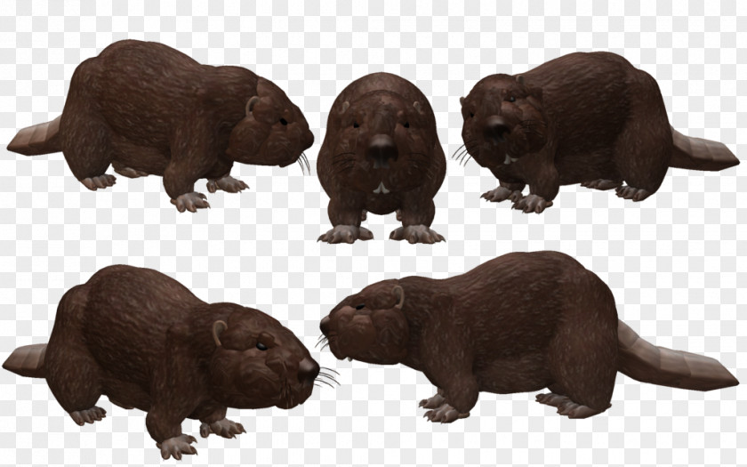 Eurasian Beaver Spore Creatures Labrador Retriever Puppy PNG