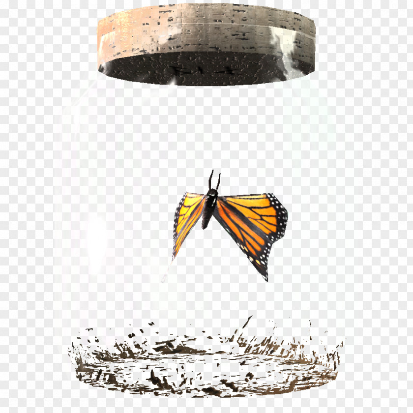 Jar Bee The Elder Scrolls V: Skyrim Butterfly Insect PNG